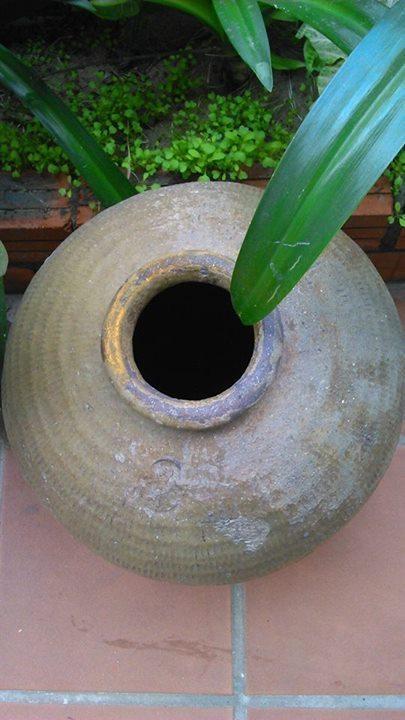 Thao Nguyen Phat Homestay Hoi An Exterior photo